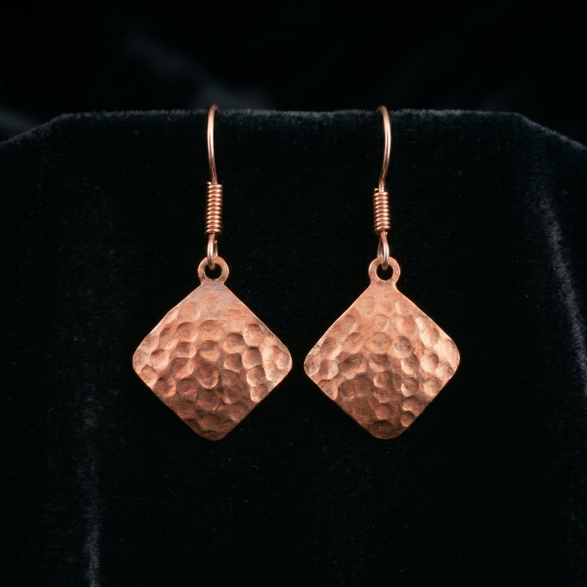 Bare Copper Earrings E30